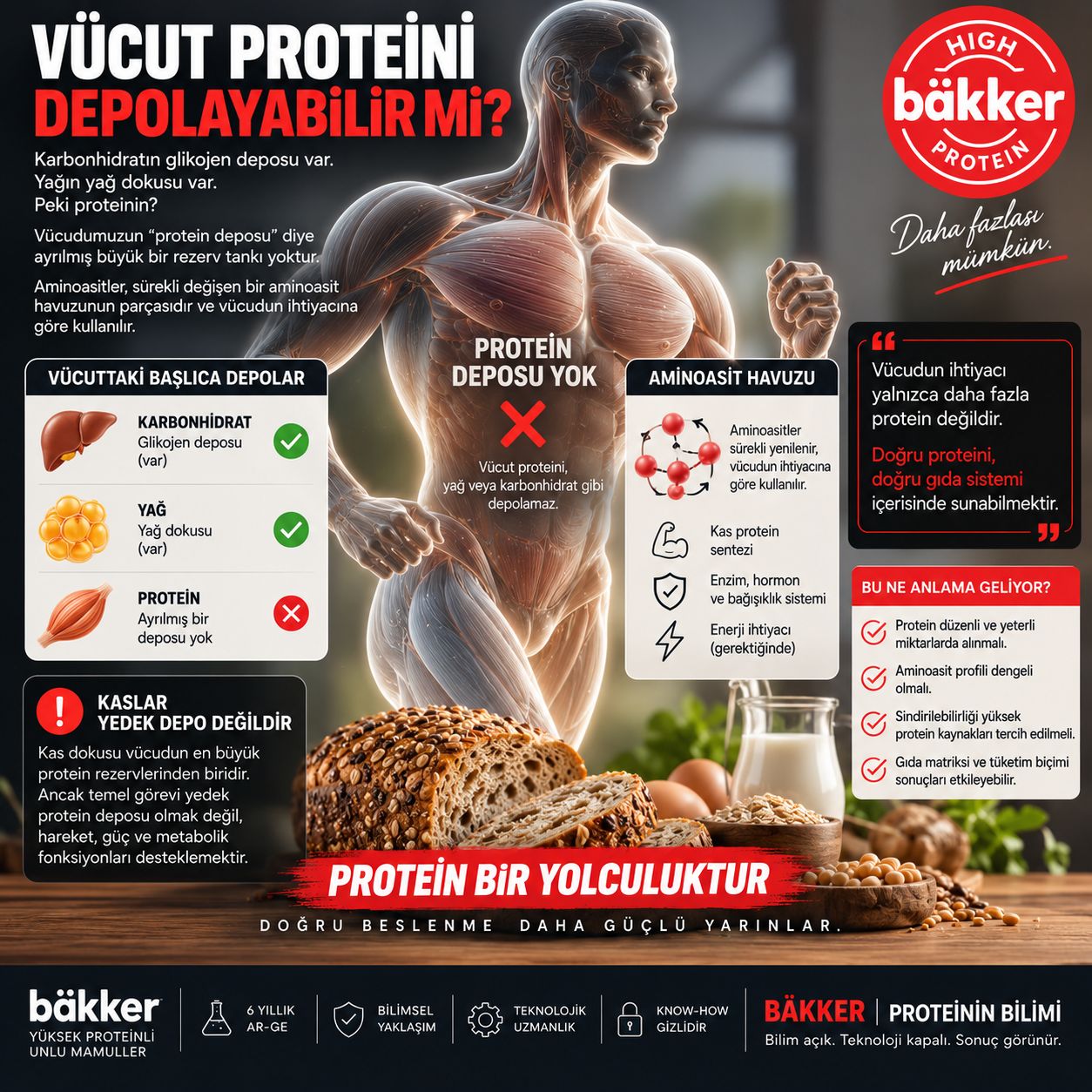 VÜCUDUN PROTEİNİ DEPOLAYAMAMA GERÇEĞİ VE DOĞRU AMİNOASİT DENGESİ